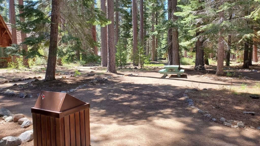 Picnic Area